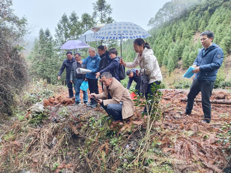 总院承担的安徽省公益性地质项目通过中间检查.jpg